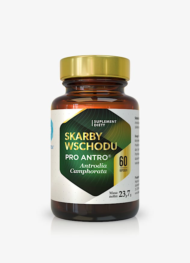 skarby wschodu antrodia camphorata